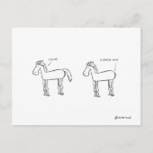 gedetailleerd briefkaart paard (Voorkant)