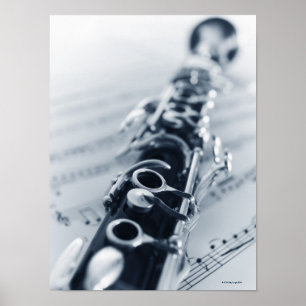 Gedetailleerd Clarinet Poster