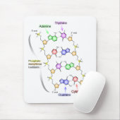 Gedetailleerd diagram van de chemische structuur v muismat (Met muis)
