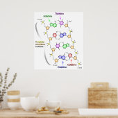 Gedetailleerd diagram van de chemische structuur v poster (Keuken)