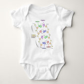 Gedetailleerd diagram van de chemische structuur v romper (Voorkant)