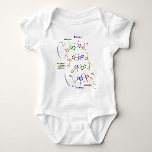 Gedetailleerd diagram van de chemische structuur v romper (Voorkant)