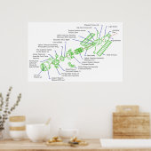 Gedetailleerd diagram van de Hubble ruimtetelescoo Poster (Keuken)