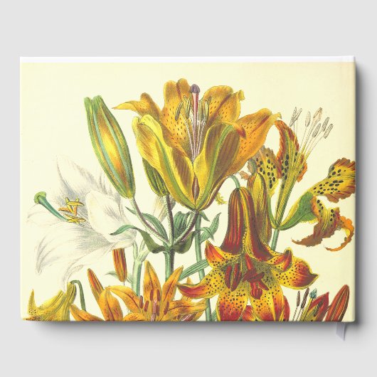 Gedetailleerd en respectabel handboek Wake Service Gastenboek (Achterkant)