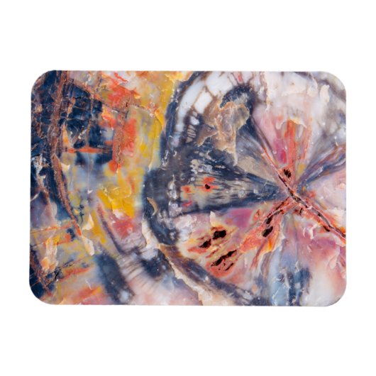 Gedetailleerd hout, Arizona Magneet (Horizontaal)