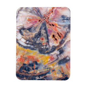 Gedetailleerd hout, Arizona Magneet