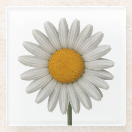 Gedetailleerd ontwerp van White Daisy Botanical Ar Glazen Onderzetter