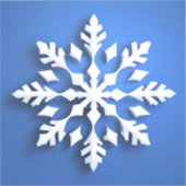Gedetailleerd ontwerp van witte sneeuwvlokken sticker (Voorkant)