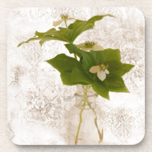 Gedetailleerde Dogwood Bunch Berry in Jar nog Life Onderzetter