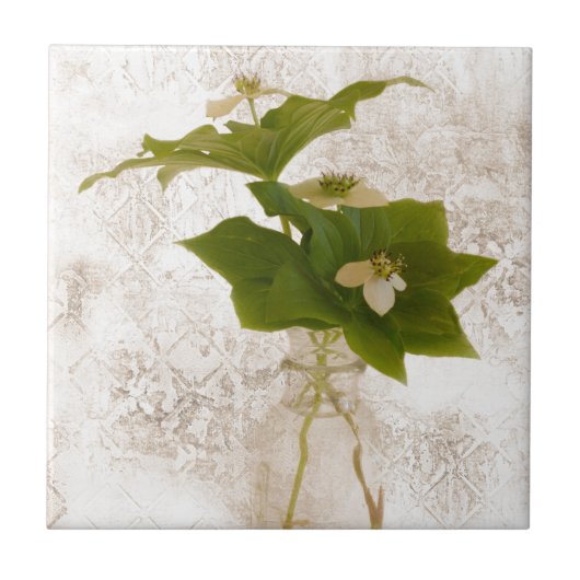 Gedetailleerde Dogwood Bunch Berry in Jar nog Life Tegeltje (Voorkant)