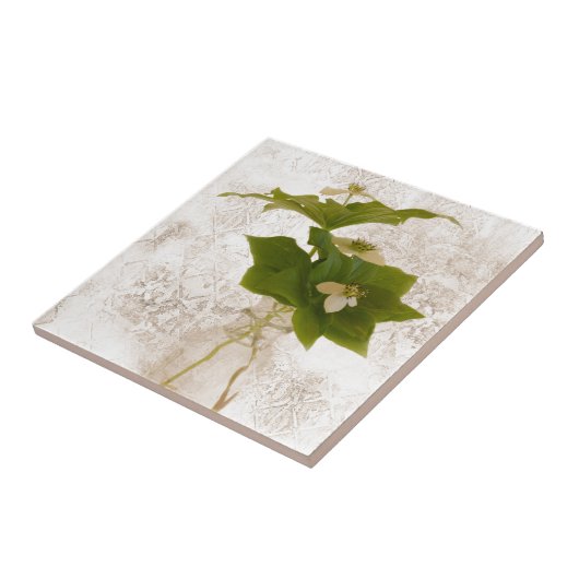 Gedetailleerde Dogwood Bunch Berry in Jar nog Life Tegeltje (Zijkant)