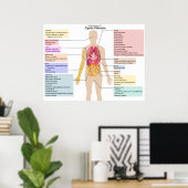 Gedetailleerde grafiek van de symptomen van cystis poster (Thuiskantoor)