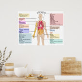 Gedetailleerde grafiek van de symptomen van cystis poster (Keuken)