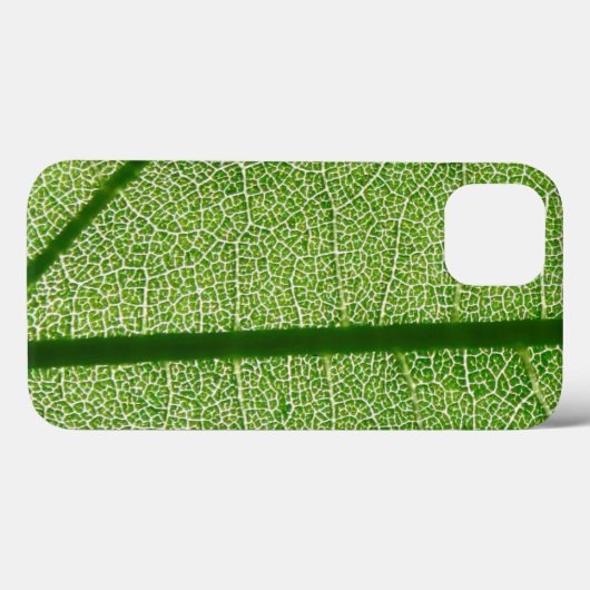 Gedetailleerde kijk op een groen lef Case-Mate iPhone case (Achterkant (horizontaal))