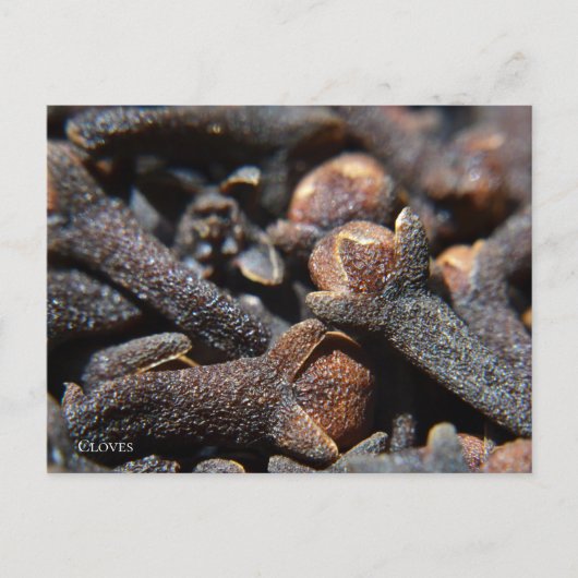 Gedetailleerde macroweergave van kruidnagels briefkaart (Voorkant)