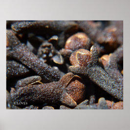 Gedetailleerde macroweergave van kruidnagels poster