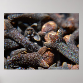 Gedetailleerde macroweergave van kruidnagels poster
