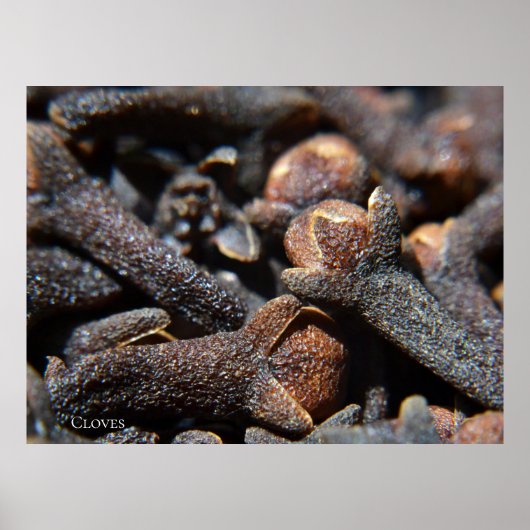 Gedetailleerde macroweergave van kruidnagels poster (Voorkant)
