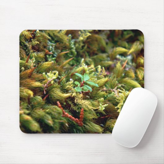 Gedetailleerde Moss Mousepad Muismat (Met muis)