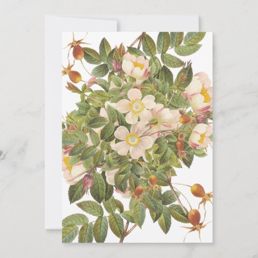 Gedetailleerde primrose Bridal Shower-uitnodiging Kaart (Achterkant)