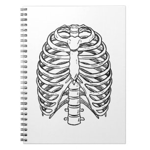 Gedetailleerde ribbenkast anatomie lijnkunst notitieboek