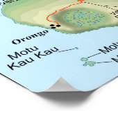 Gedetailleerde topografische kaart van Paaseiland Poster (Hoek)