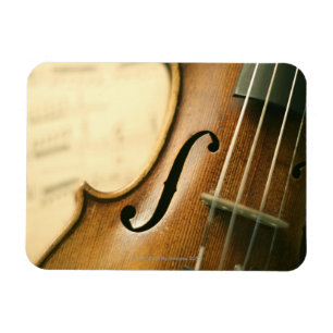 Gedetailleerde Violin Magneet