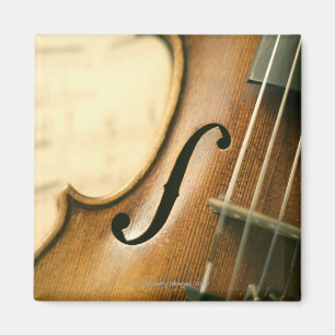 Gedetailleerde Violin Magneet