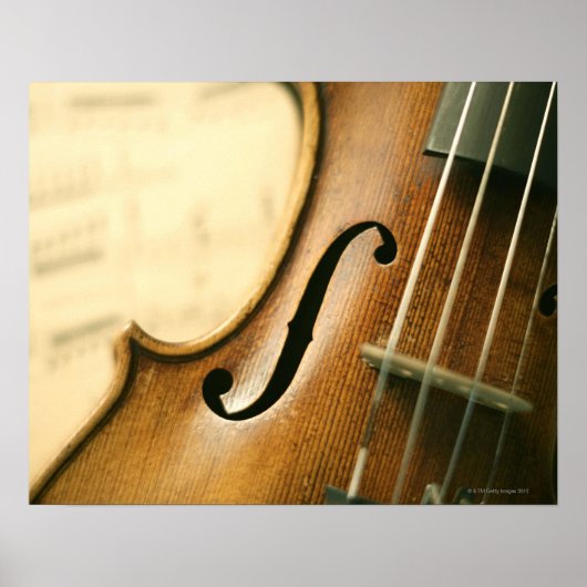 Gedetailleerde Violin Poster (Voorkant)