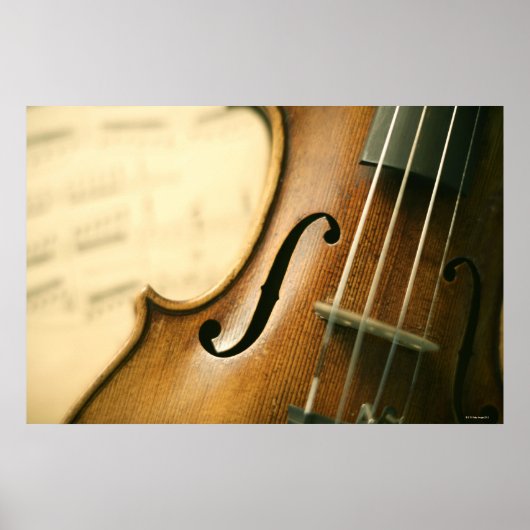 Gedetailleerde Violin Poster (Voorkant)
