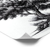 Gedetailleerde zwarte en witte boomschets poster (Hoek)