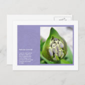 Gedicht voor het nieuw Leven Briefkaart (Voorkant / Achterkant)