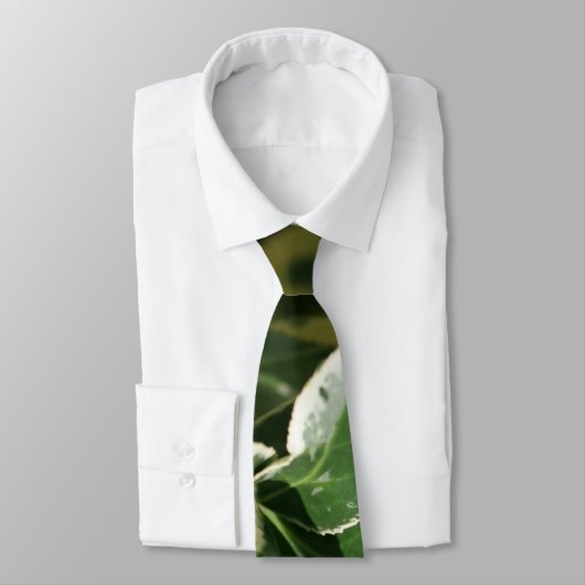 Gedifferentieerd Stropdas van de Groenen (Gebonden)