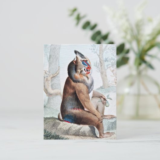 Gedifferentieerde Baboon  kunst Briefkaart (Staand voorkant)