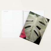 Gedifferentieerde bladbloem van Monstera Planner (Display)