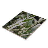 Gedifferentieerde gembertegel tegeltje (Zijkant)