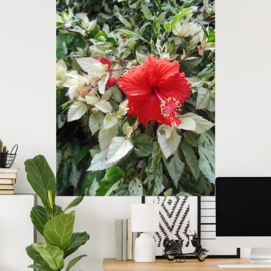 Gedifferentieerde Hibiscus Poster (Thuiskantoor)