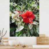 Gedifferentieerde Hibiscus Poster (Keuken)