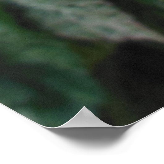 Gedifferentieerde Hibiscus Poster (Hoek)