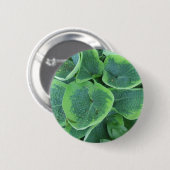 Gedifferentieerde Hosta Light Green Donk Green Lea Ronde Button 5,7 Cm (Voorkant /achterkant)