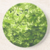 Gedifferentieerde leder van de Maple Zandsteen Onderzetter (Voorkant)