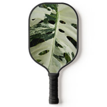 Gedifferentieerde Plant van Monstera Leaf Floral