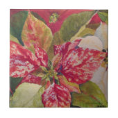 Gedifferentieerde Poinsettia Tile Tegeltje (Voorkant)