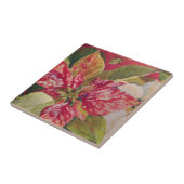 Gedifferentieerde Poinsettia Tile Tegeltje (Zijkant)