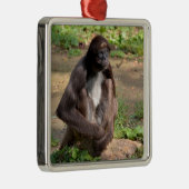 Gedifferentieerde spinaap op de grond metalen ornament (Rechts)