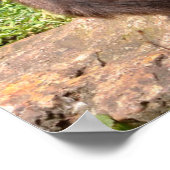 Gedifferentieerde spinaap op feestdag poster (Hoek)