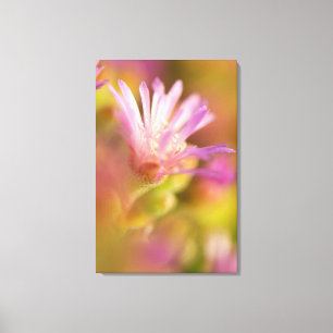 Gediffuseerde afbeelding van een kleurrijke sappig canvas afdruk