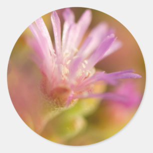 Gediffuseerde afbeelding van een kleurrijke sappig ronde sticker