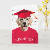 Gediplomeerde Goud Retriever met Rode Mut Kaart (Gele Bloem)