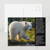 Gedistilleerd Beer Briefkaart (Voorkant / Achterkant)